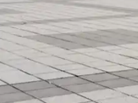 截屏2025-03-27 12.13.06