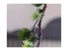 (兒童房設(shè)計(jì)二人一個(gè)房)兒童房如何裝修?兒童房設(shè)計(jì)有哪些注意事項(xiàng)