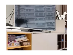 (水泥混凝土路面設計技巧有哪些)水泥混凝土路面設計技巧 水泥混凝土路面施工注意事項