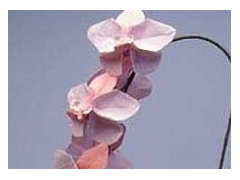 (椅子裝修涂料怎樣清理干凈)花花飾界10種新玩法 給你帶來天馬行空創意設計