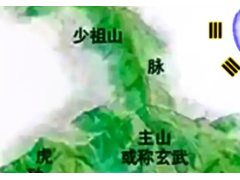 (牡丹種在家院內影響風水)牡丹種農村庭院的風水禁忌 牡丹種在庭院什么位置