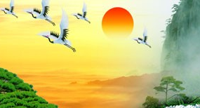 QQ20250408-104148
